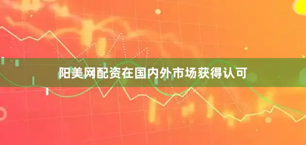 阳美网配资在国内外市场获得认可