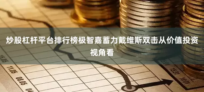 炒股杠杆平台排行榜极智嘉蓄力戴维斯双击从价值投资视角看