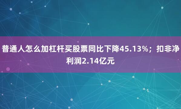 普通人怎么加杠杆买股票同比下降45.13%；扣非净利润2.14亿元