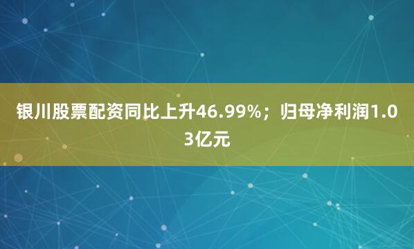 银川股票配资同比上升46.99%；归母净利润1.03亿元