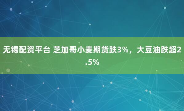 无锡配资平台 芝加哥小麦期货跌3%，大豆油跌超2.5%