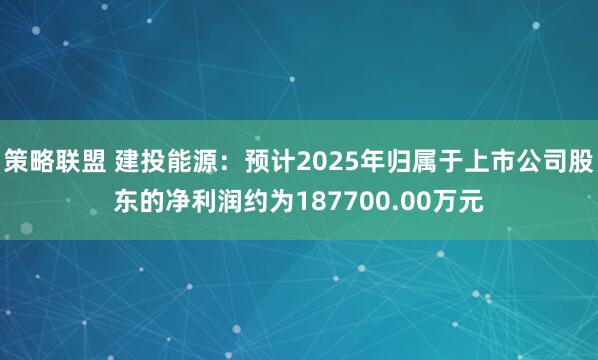 策略联盟 建投能源：预计2025年归属于上市公司股东的净利润约为187700.00万元